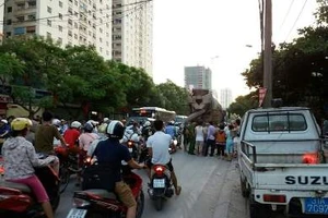 Va chạm xe trộn bê tông, nữ sinh lớp 8 tử vong tại chỗ