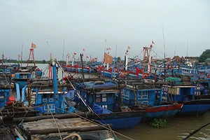 Cấm tàu thuyền xuất bến trước áp thấp nhiệt đới gần bờ