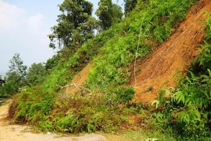  Quảng Nam: Mưa lớn, nhiều khu vực bị ngập nước