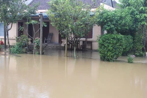 Quảng Ngãi: Lũ chồng lũ 