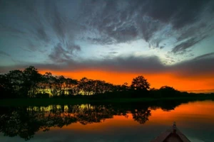 Ấn tượng với những bức ảnh hiếm về rừng rậm Amazon