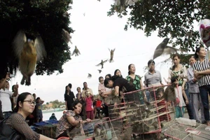 Phóng sinh hay sát sinh?