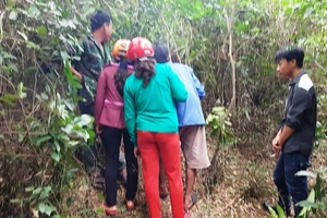 Phát hiện 1 bộ xương người trong bụi rậm