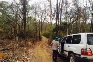 Nguyên nhân ban đầu vụ kiểm lâm chết bất thường