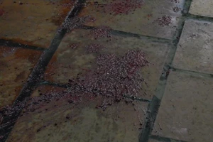 Ném bom bẩn, gắn vòng hoa đưa tang khủng bố người dân