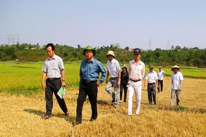 Nguyên Chủ tịch tỉnh Gia Lai bị kiểm tra vi phạm