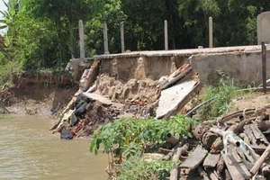 Đồng Tháp có đến 45 xã, phường, thị trấn bị sạt lở