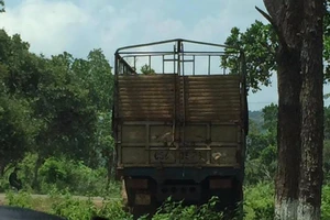 Xe gỗ lậu gần đồn biên phòng, kiểm lâm bị kiểm điểm