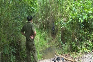 Xác bé gái 13 tuổi bị chôn trong bụi cây