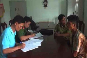 Bắt nhóm nghi can cưa cây thủy tùng trên 500 tuổi 