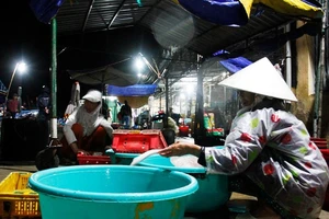 Hình ảnh cảng cá Đông Hải-Phan Rang trước khi bão vào