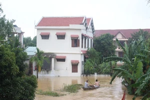 Đà Nẵng: Hơn 7.500 hộ bị ngập, 316 hộ phải di dời