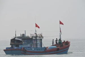 Hàng chục tàu cá của ngư dân Lý Sơn đồng loạt ra khơi