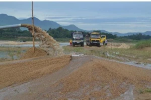 Quảng Ngãi: 1 chủ tịch huyện bị kỷ luật vì làm đường 