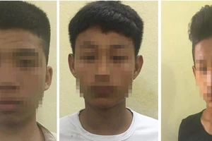 2 thiếu niên theo băng cướp giật tài sản