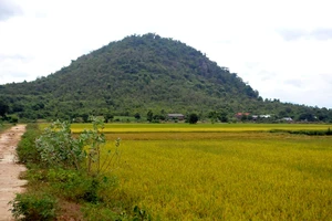 Thương tâm: 2 ông cháu bị sét đánh tử vong khi đi chăn dê