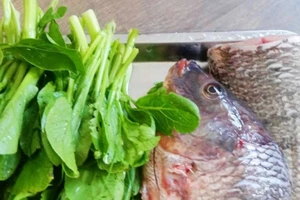Thử canh rau cải cá rô đi nào!