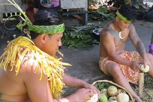 Người Samoa tự hào nguồn lương thực của mình chưa từng ảnh hưởng hóa chất nông nghiệp hoặc gen biến đổi sinh học. Ảnh: NGUYỄN CHÍ LINH