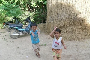 Nhìn cảnh đốt đồng, nhớ cây rơm bên hiên nhà ngoại 