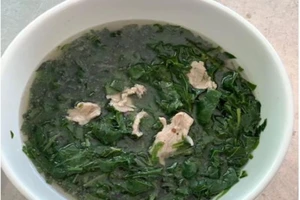 Rau mã đề món rau thuốc quen thuộc mà dễ quên