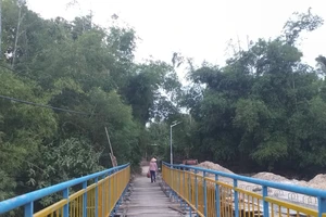 Bờ tre 'chứng nhân' của đoàn tụ và chia ly