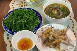 Mùa nước lụt bắt cá ngạnh ở miền Trung quê tôi