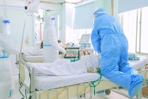 Nghệ sĩ, nhà báo xúc động sau khi xem phóng sự ‘Ranh giới’ của VTV