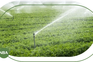 Béc tưới cây tự động chuyên nghiệp - Đưa hiện đại hóa vào nhà vườn nâng cao năng suất