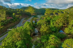 Người dân Lâm Đồng lần đầu tiên xem bắn pháo hoa nghệ thuật tại đèo Prenn