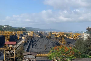 5 tháng, TKV đạt doanh thu 71.000 tỷ đồng, nộp ngân sách Nhà nước 10.880 tỷ đồng