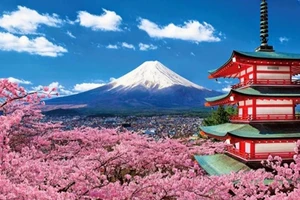 Công ty dịch thuật tiếng Nhật chuẩn, nhanh, giá rẻ và uy tín