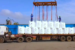 6 tháng năm 2024, PVFCCo tăng trưởng ấn tượng