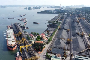 6 tháng năm 2024, TKV cơ bản đạt và vượt mục tiêu kế hoạch đề ra