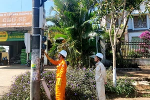 PC Gia Lai phát hiện 599 trường hợp vi phạm sử dụng điện