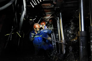 Bức tranh tài chính của TKV 6 tháng đầu năm 2024