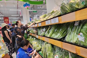 Thêm Co.opmart mới tại TP.HCM 