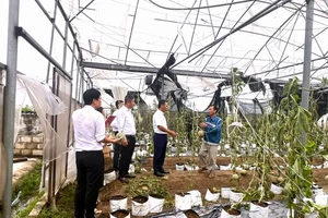 Agribank tổ chức các đoàn công tác nắm bắt tình hình, khắc phục thiệt hại cơn bão số 3