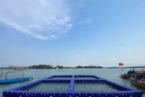 ‘Một vốn bốn lời’ khi đầu tư chuyển đổi sang phao lồng HDPE nuôi trồng thủy - hải sản