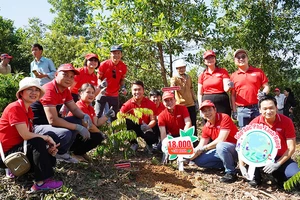 Dai-ichi Life Việt Nam phát động trồng 10.000 cây lim xanh tại Rừng phòng hộ Phú Ninh, Quảng Nam