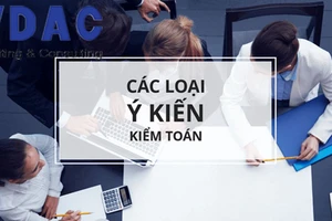 Có những loại ý kiến kiểm toán nào và ví dụ thực tế