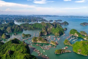 Chuyên gia quốc tế ‘mách nước’ 8 bí quyết đưa Cát Bà thành đảo sinh thái xanh toàn diện