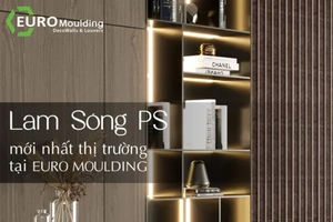 Euro Moulding - Đơn vị thi công tấm nhựa ốp tường uy tín, chất lượng tại TP.HCM