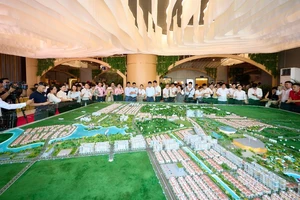 93% căn hộ Sun Group từ 1 tỷ đồng đã hết veo ngay khi mở bán