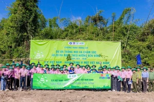 CP Việt Nam bàn giao dự án trồng rừng tại Tà Thiết - Bình Phước