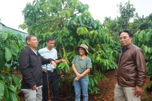 Đa dạng hóa sinh kế giúp dân thoát nghèo