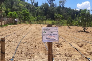 Bình Định đưa huyện An Lão thoát khỏi tình trạng huyện nghèo, đặc biệt khó khăn