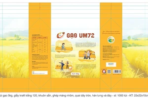 HTX Nông nghiệp TMDV Du lịch An Phú đầu tư xây dựng khu du lịch Sóng Lúa