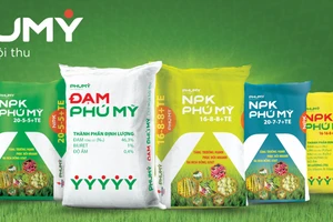 Động lực mới của PVFCCo - Phú Mỹ