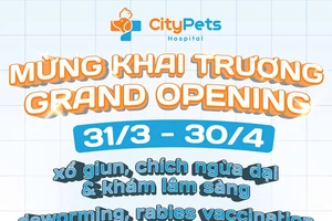 TP.HCM có bệnh viện dành cho thú cưng chuẩn quốc tế