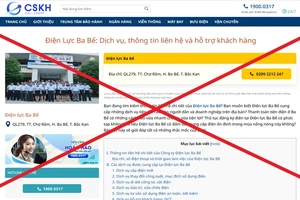 Trang Web giả mạo Tổng công ty Điện lực miền Bắc nhằm lừa đảo khách hàng